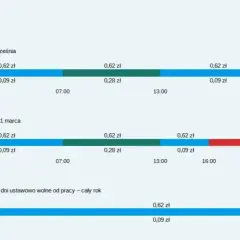 Ile kosztuje 1 kWh prądu Tauron: Aktualna cena jednej kilowatogodziny 