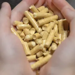 Czy pellet to paliwo stałe? Dowiedz się o jego właściwościach i zastosowaniu