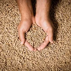 Czy pellet będzie zakazany? Sprawdź przyszłość ogrzewania biomasą