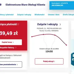 Jak sprawdzić zużycie prądu w Enei Osobisty licznik klienta
