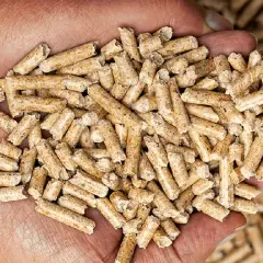 Dlaczego pellet drożeje? Oto przyczyny wzrostu jego cen w Polsce