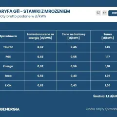Aktualne ceny prądu w taryfie G11 Ile zapłacimy