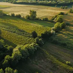 1 Hektar - Ile Kosztuje 1 Hektar Ziemi Rolnej