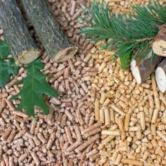 Pellet iglasty czy liściasty – który wybór zapewni lepsze ciepło?