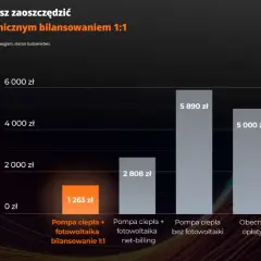 Ile kosztuje 1 kWh prądu w Polsce? Rozkład rachunku