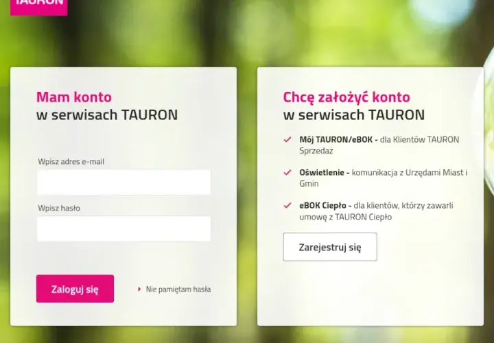 Jak uzyskać pełnomocnictwo Tauron i na co zwrócić uwagę? 