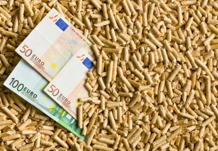 Ceny pelletu drzewnego: Dlaczego warto znać aktualne koszty i wybór