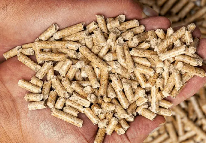 Dlaczego pellet drożeje? Oto przyczyny wzrostu jego cen w Polsce