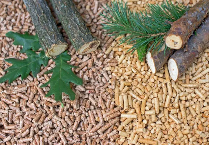 Pellet iglasty czy liściasty – który wybór zapewni lepsze ciepło?