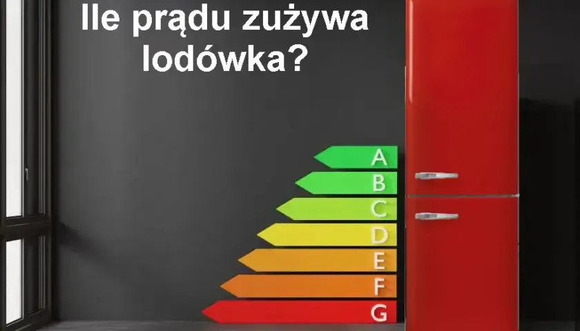 Dobowe zużycie energii przez lodówkę Statystyki