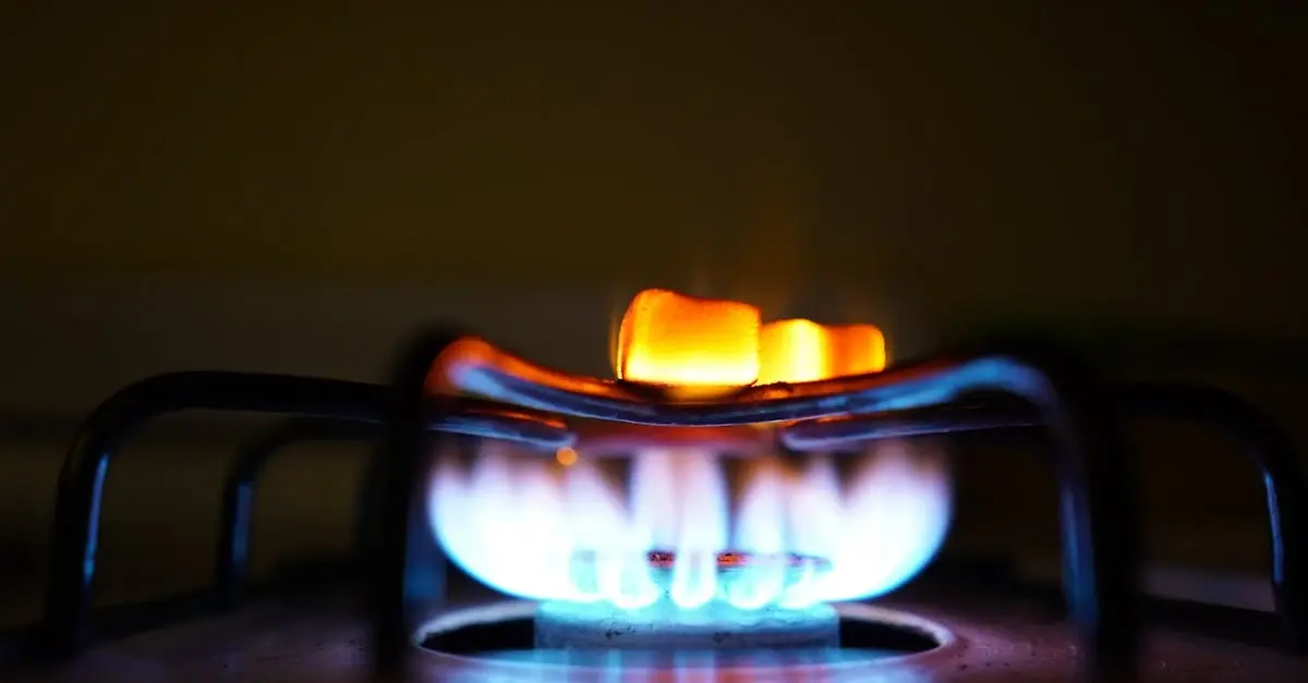 Ile Kosztuje Kuchenka Gazowa - Wydatki na Gaz do Kuchenki Gazowej