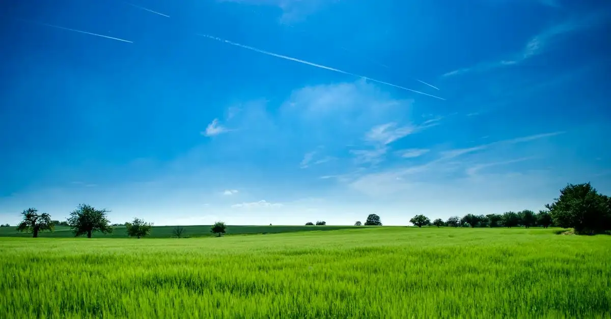 Kupno gruntów pod farmę fotowoltaiczną Oferty sprzedaży