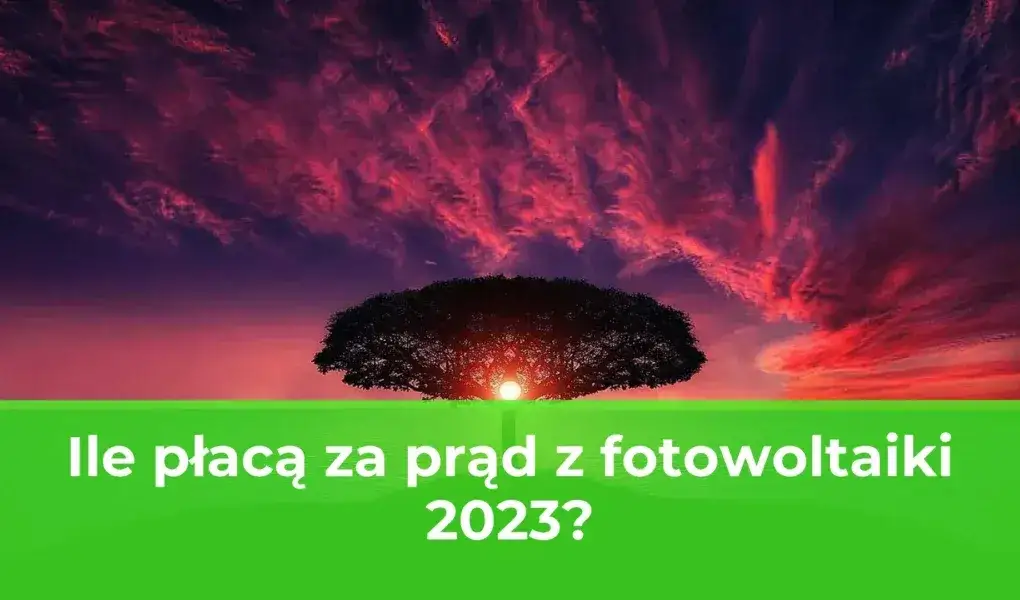 Zdjęcie Ile płacą za prąd z fotowoltaiki? Sprawdź korzystne stawki!
